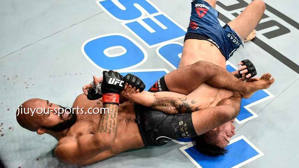 九游娱乐UFC综合格斗投注 VS 拳击投注：刺激和稳定你更喜欢哪种？